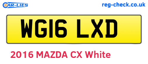 WG16LXD are the vehicle registration plates.