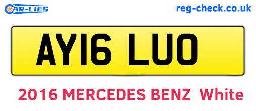AY16LUO are the vehicle registration plates.
