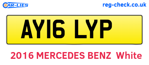AY16LYP are the vehicle registration plates.