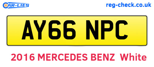 AY66NPC are the vehicle registration plates.