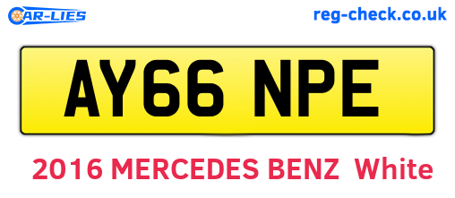 AY66NPE are the vehicle registration plates.