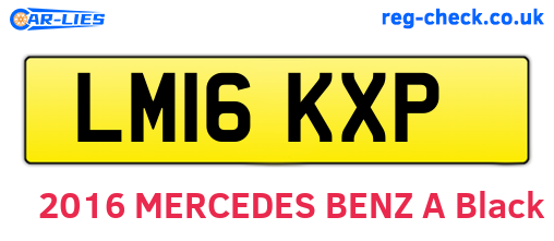 LM16KXP are the vehicle registration plates.
