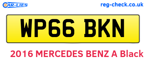 WP66BKN are the vehicle registration plates.