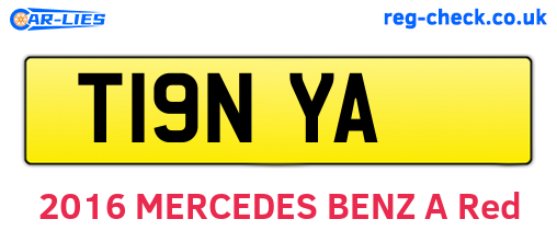 T19NYA are the vehicle registration plates.