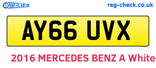 AY66UVX are the vehicle registration plates.