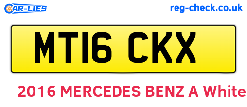 MT16CKX are the vehicle registration plates.