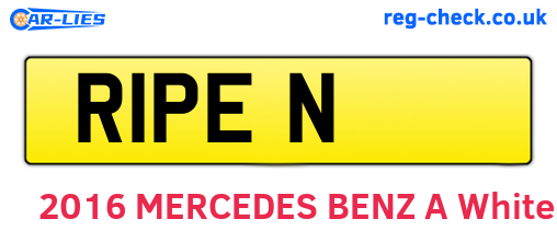 R1PEN are the vehicle registration plates.