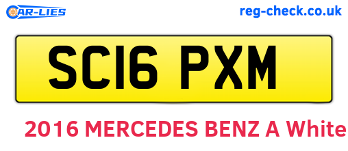 SC16PXM are the vehicle registration plates.