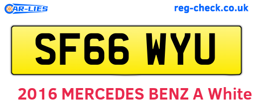 SF66WYU are the vehicle registration plates.