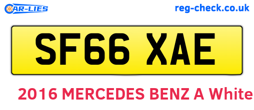 SF66XAE are the vehicle registration plates.