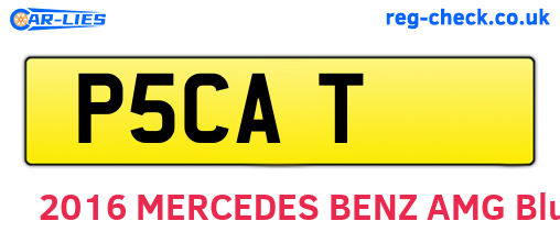 P5CAT are the vehicle registration plates.