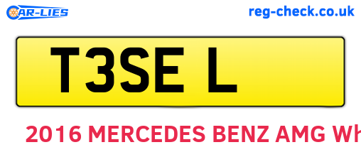 T3SEL are the vehicle registration plates.
