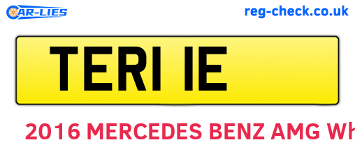 TER11E are the vehicle registration plates.