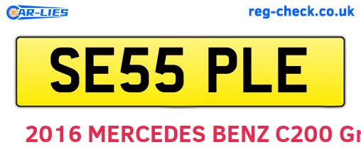 SE55PLE are the vehicle registration plates.
