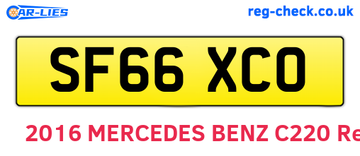 SF66XCO are the vehicle registration plates.