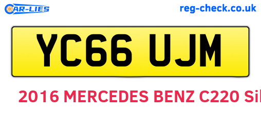 YC66UJM are the vehicle registration plates.