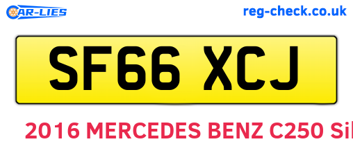 SF66XCJ are the vehicle registration plates.
