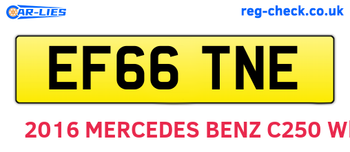 EF66TNE are the vehicle registration plates.