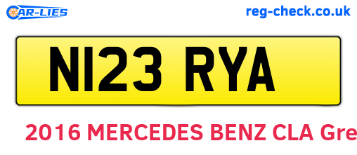 N123RYA are the vehicle registration plates.