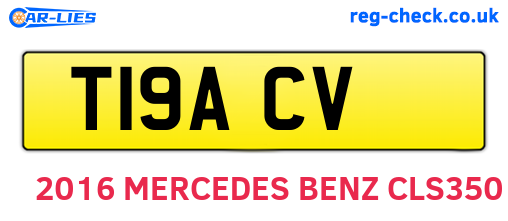 T19ACV are the vehicle registration plates.