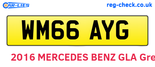 WM66AYG are the vehicle registration plates.