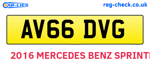 AV66DVG are the vehicle registration plates.