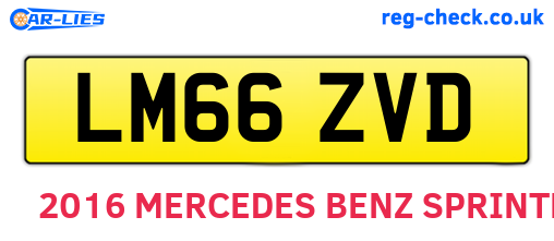 LM66ZVD are the vehicle registration plates.