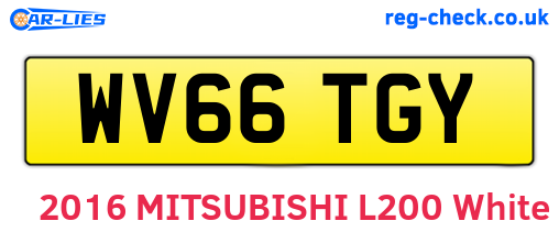 WV66TGY are the vehicle registration plates.