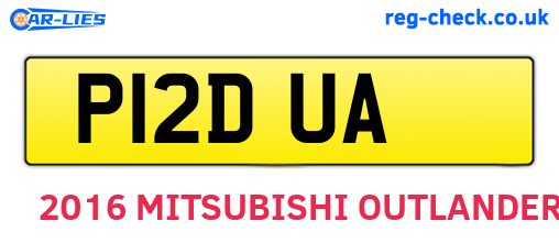 P12DUA are the vehicle registration plates.