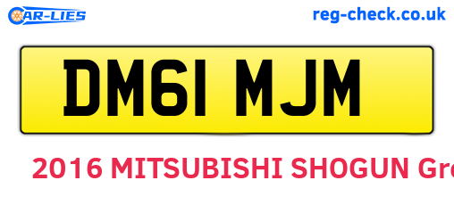 DM61MJM are the vehicle registration plates.