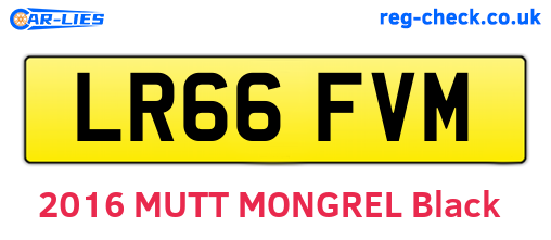 LR66FVM are the vehicle registration plates.