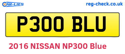 P300BLU are the vehicle registration plates.