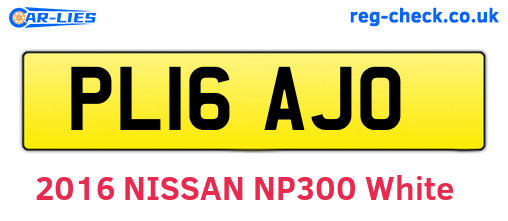 PL16AJO are the vehicle registration plates.
