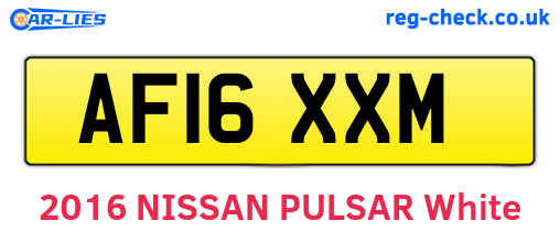 AF16XXM are the vehicle registration plates.