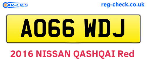 AO66WDJ are the vehicle registration plates.