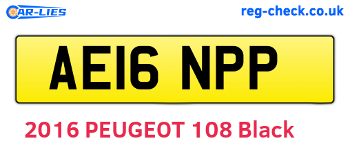 AE16NPP are the vehicle registration plates.