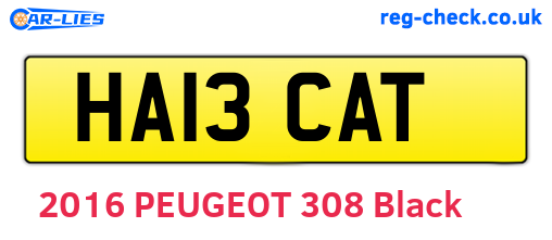 HA13CAT are the vehicle registration plates.