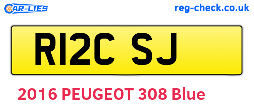R12CSJ are the vehicle registration plates.