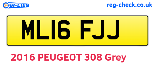 ML16FJJ are the vehicle registration plates.