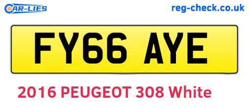 FY66AYE are the vehicle registration plates.