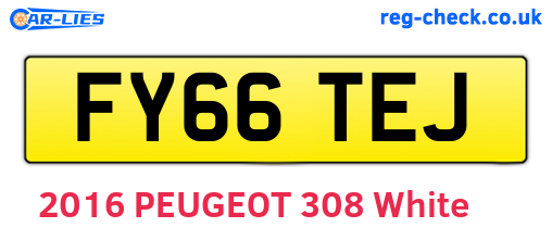 FY66TEJ are the vehicle registration plates.