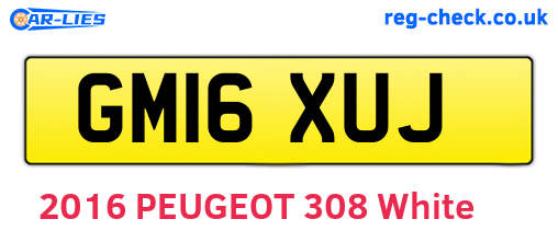 GM16XUJ are the vehicle registration plates.