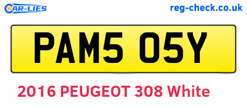 PAM505Y are the vehicle registration plates.