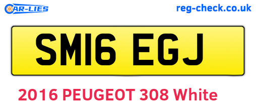 SM16EGJ are the vehicle registration plates.