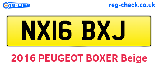 NX16BXJ are the vehicle registration plates.