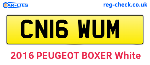CN16WUM are the vehicle registration plates.