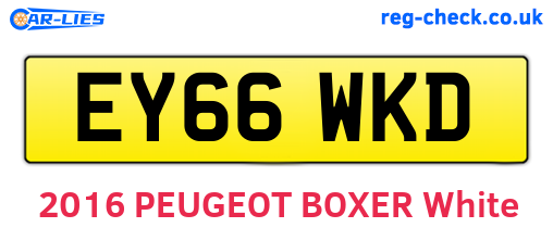 EY66WKD are the vehicle registration plates.