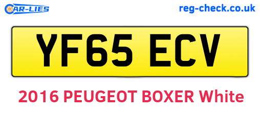 YF65ECV are the vehicle registration plates.