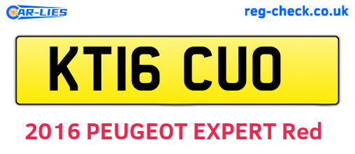 KT16CUO are the vehicle registration plates.