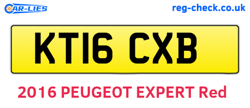 KT16CXB are the vehicle registration plates.